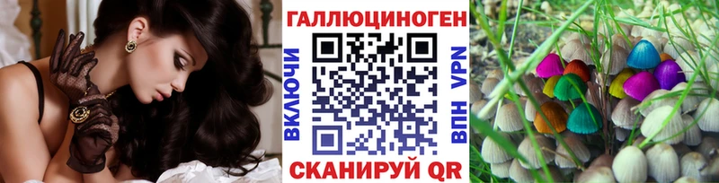Галлюциногенные грибы Cubensis  наркошоп  OMG маркетплейс  Новоузенск 